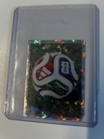 Panini Bild FWC 5