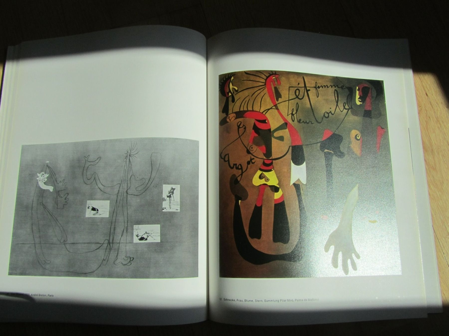 Libri: JOAN MIRO,  Kunstbuch – Usato da Seengen venduto da mikelele 4
