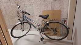 Mondia Cosmic Citybike