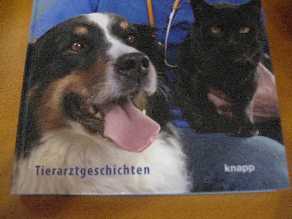 Bücher: Kinderbuch ab 8 Jahren – Gebraucht aus Grenchen von eule43 1