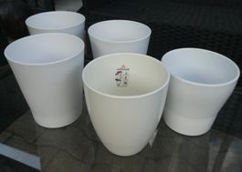 Lot de 5 cache-pots à Orchidées