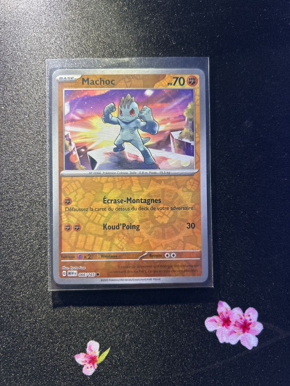 Pokémon Carte collezionabili: Pokémon Combo Machoc 066 + Machopeur 067 REVERSE – Nuovo (secondo la descrizione) da Montet (Broye) venduto da Jocksmock 3