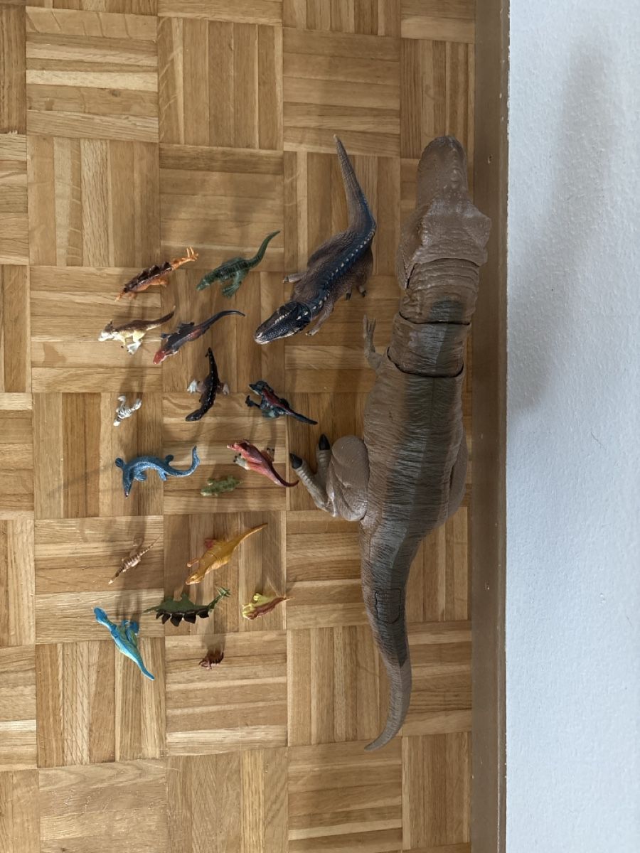 Giocattoli: Dinosaurier-Set – Usato da Bassersdorf venduto da Shke01 2