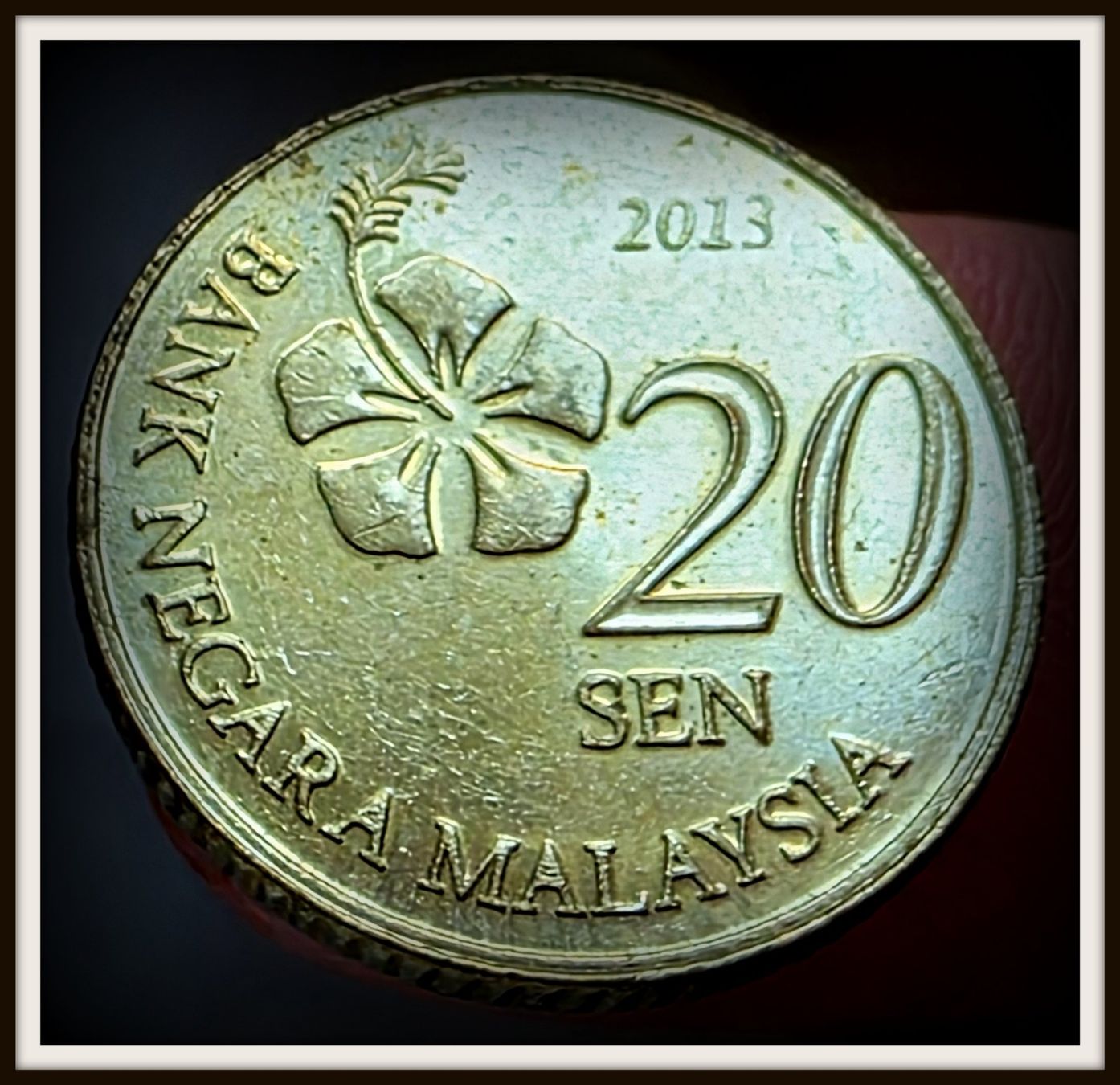 Tutti le monete: MALAYSIA 20 SEN 2013 – Usato da Winterthur venduto da Creso70 1