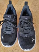Turnschuhe Puma Gr. 36