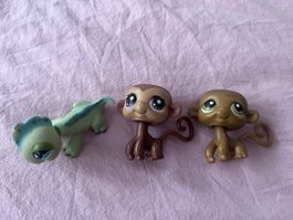 x3 Littlest Pet Shop (499 + 56 + 267)
