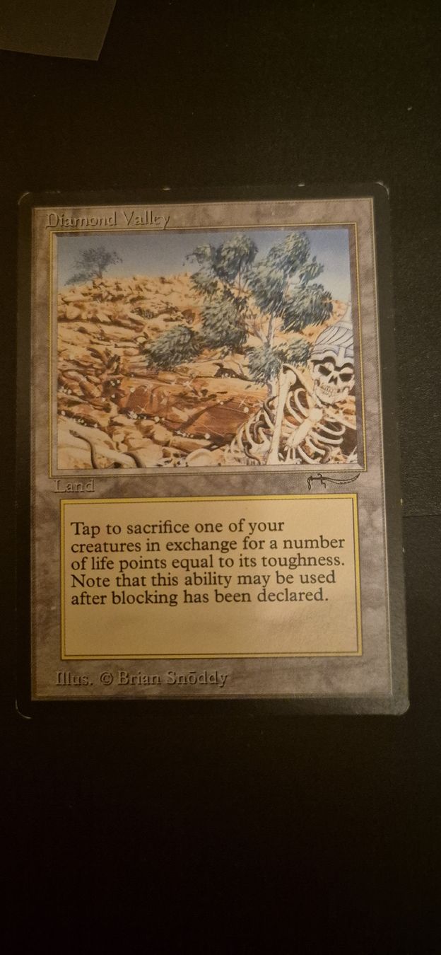 Magic The Gathering Carte collezionabili: Carte Magic Diamond Valley bon état – Usato da Genève venduto da Bayoushi 1