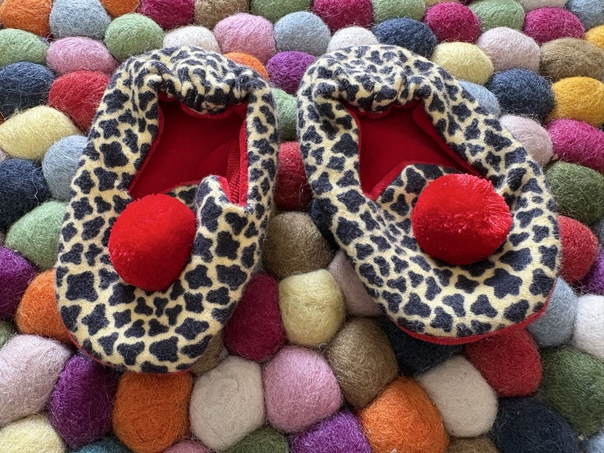 Tiger Swiss Schuhe für Jungen: Tiger Fink Newborn – Neu (gemäss Beschreibung) aus Winterthur von kiwimel