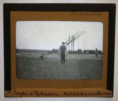 Glasdia Ungarn / Puszta: Kuhhirten in Debreczen, um 1930