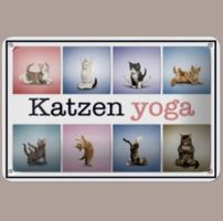 🔥 KATZEN YOGA Blechschild 🎀 12x18cm OVP 🔥