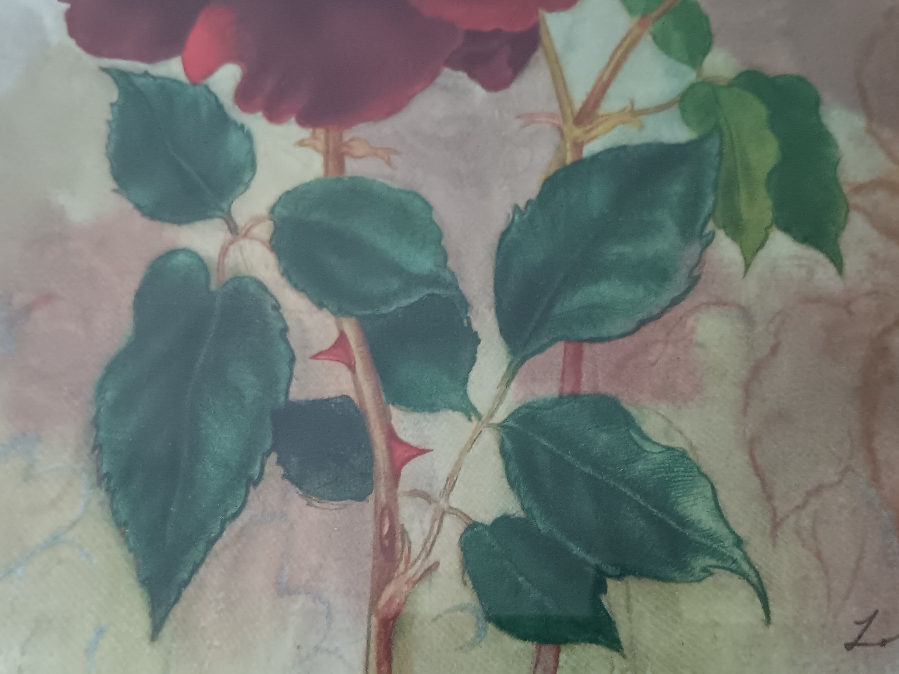 Dipinti: Lotte Günthart-Maag (1914 - 2007) – Usato da Cossonay-Ville venduto da Les_1001_perles 2