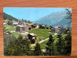 AK  1970 Wildi bei Saas-Fee (G1493)