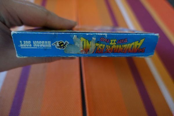 Giochi: The Adventure Island 2 – Usato da Steinach venduto da Gamecet 5