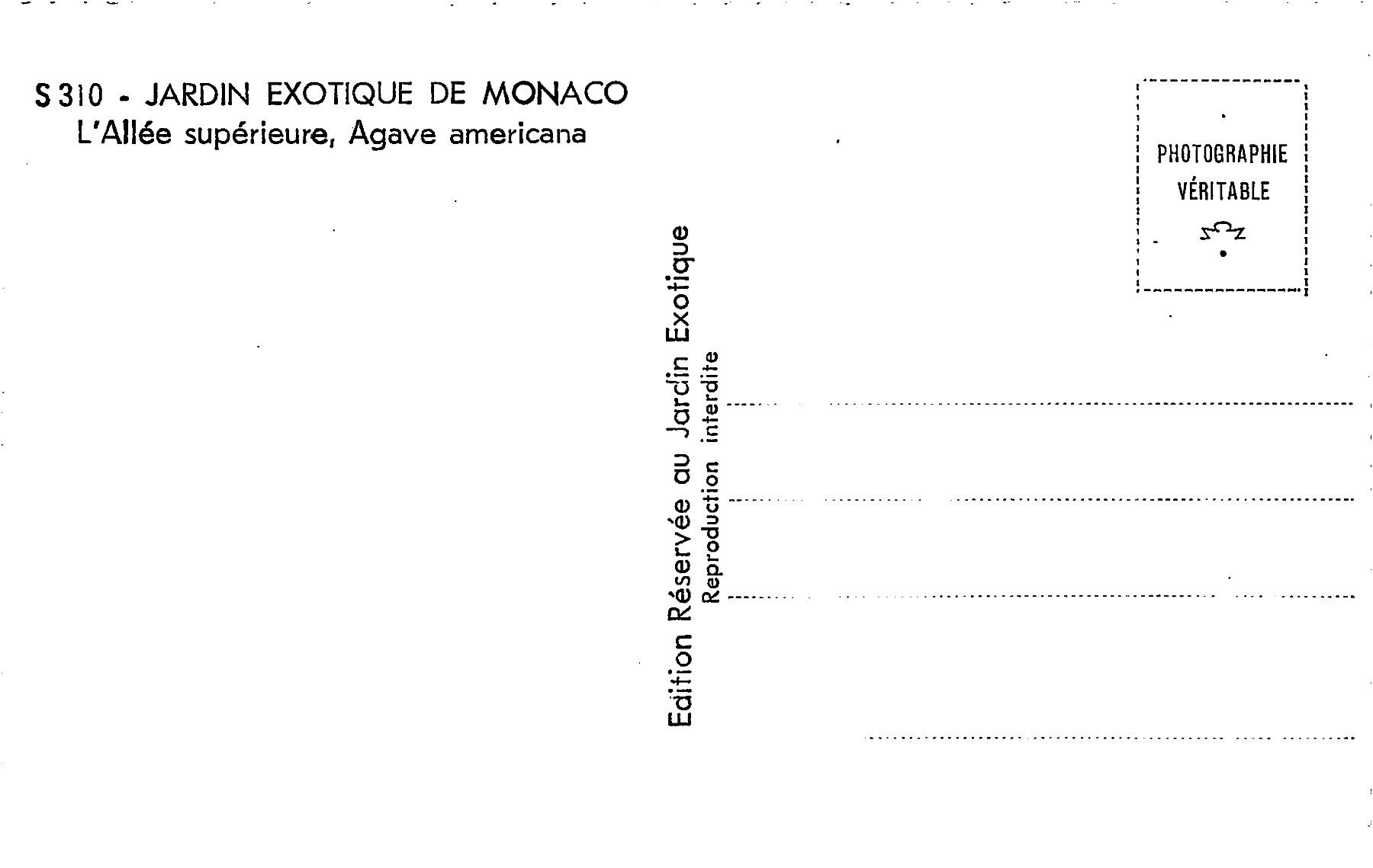 Cartoline postali: 3x Monaco, La Cote d'Azur – Usato da Ottikon b.Kemptth. venduto da Neptun1974 5