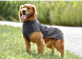 Hunde Softshell Jacke schwarz 48 cm Rückenlänge Winddicht