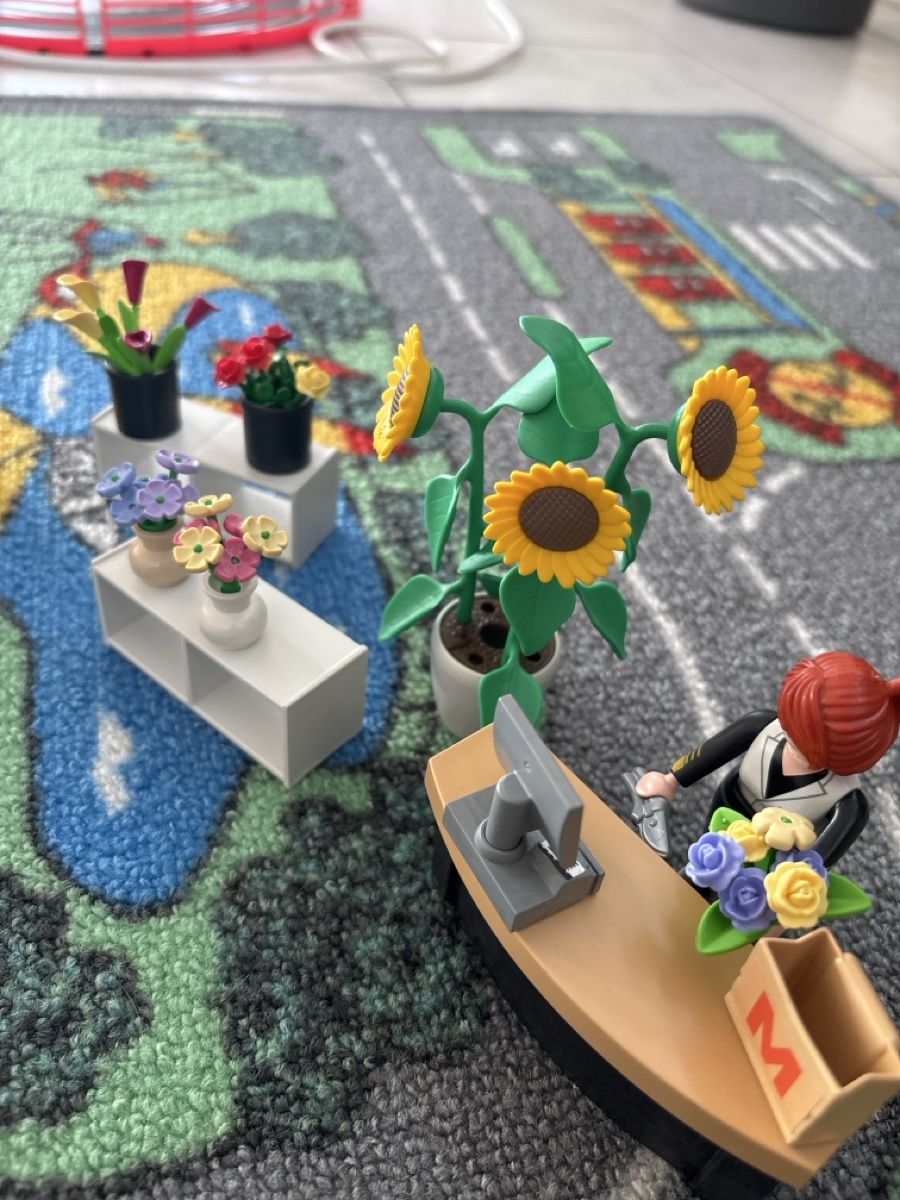 Playmobil Giocattoli: Playmobil Migrosmania – Usato da Safenwil venduto da sabikie 4