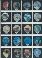 KRD. Polarwelt 1993 / 238 A