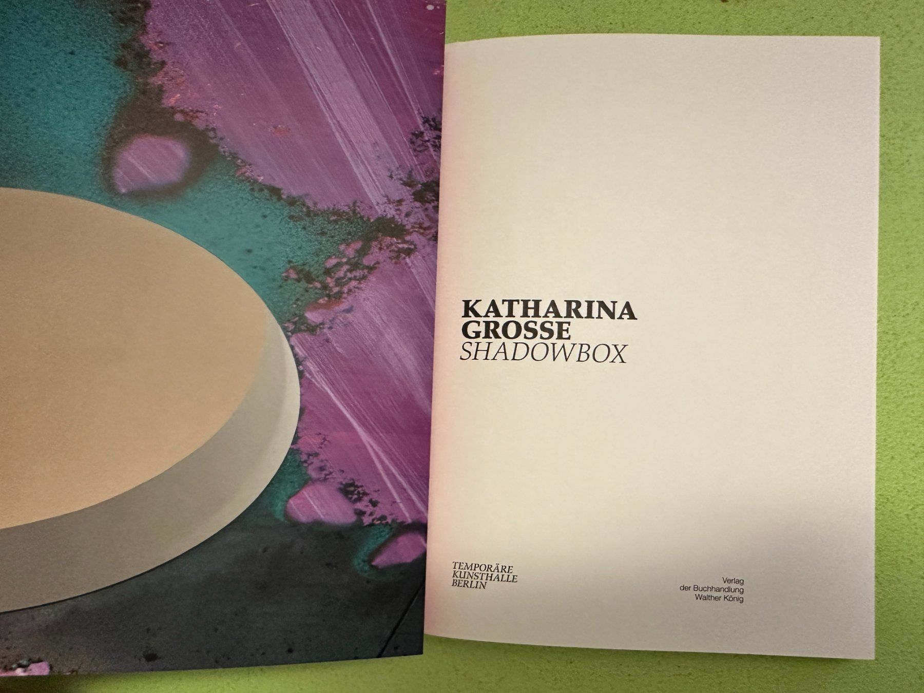 Libri: Katharina Grosse: Shadowbox – Usato da Zürich venduto da allp 1