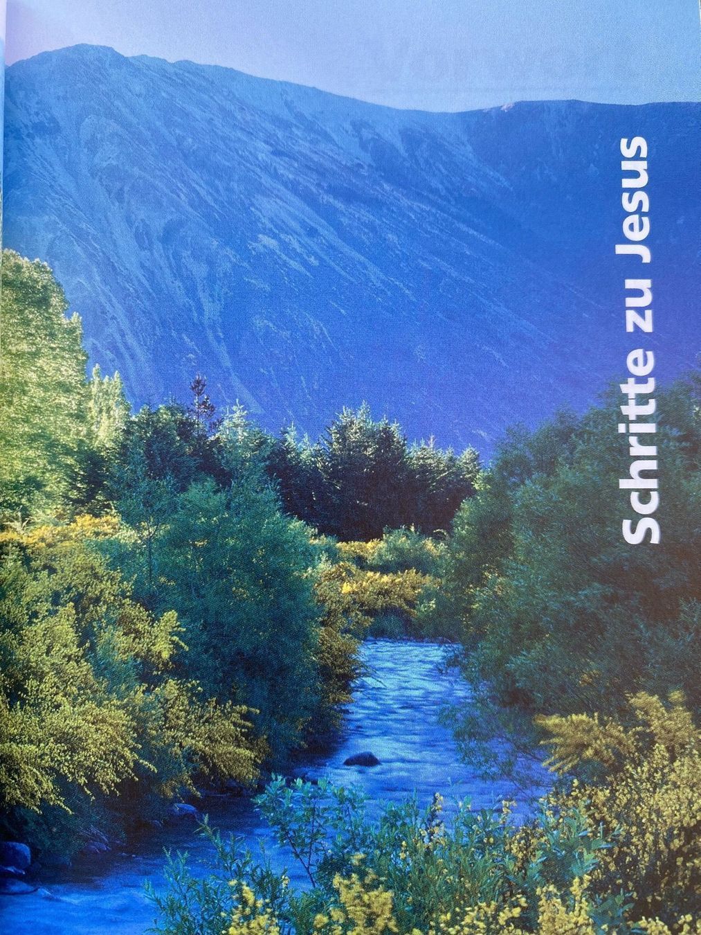 Bücher: Buch - Schritte zu Jesus – Gebraucht aus St.Gallen von kingsamas 3