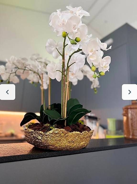 Tutte le decorazioni: 3 grosse Schalen mit künstlichen Orchideen – Nuovo (secondo la descrizione) da Luzern venduto da Brokiland