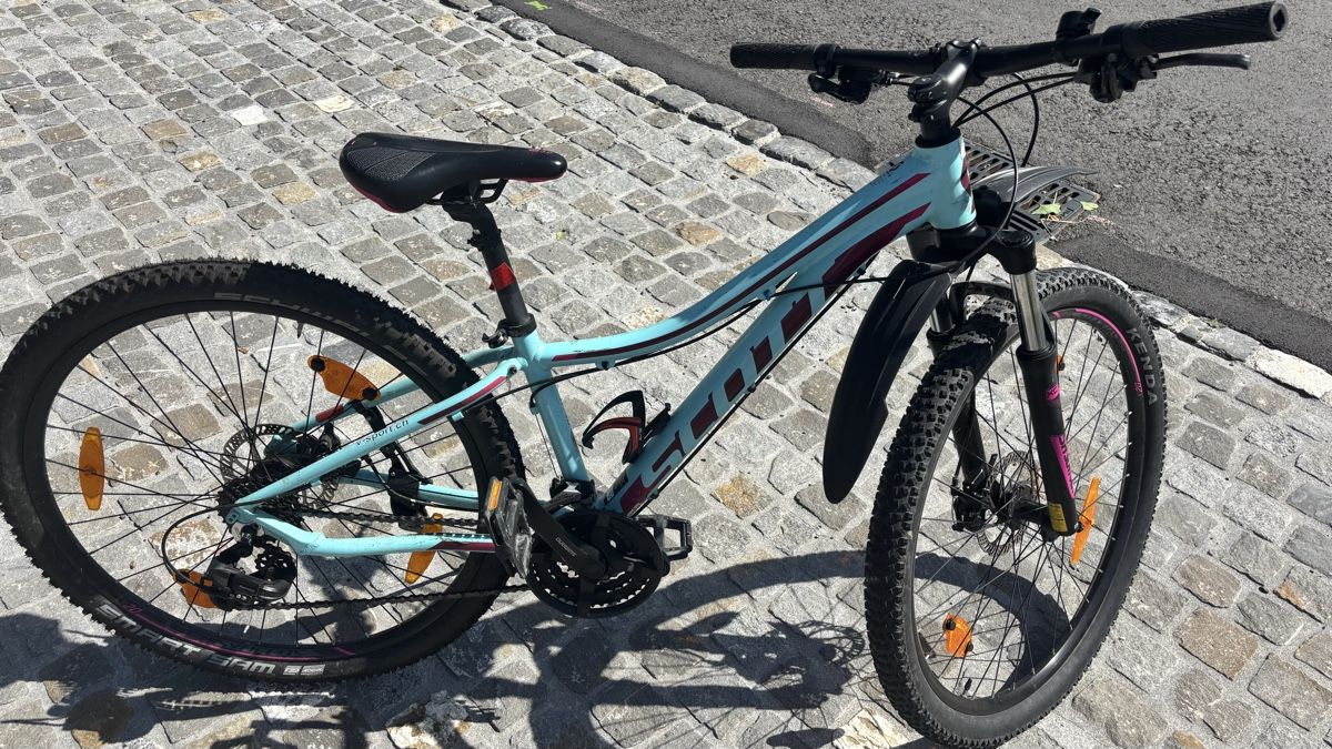 Scott Velos: Mountain Bike SCOTT – Gebraucht aus Meggen von Rosegold84 3