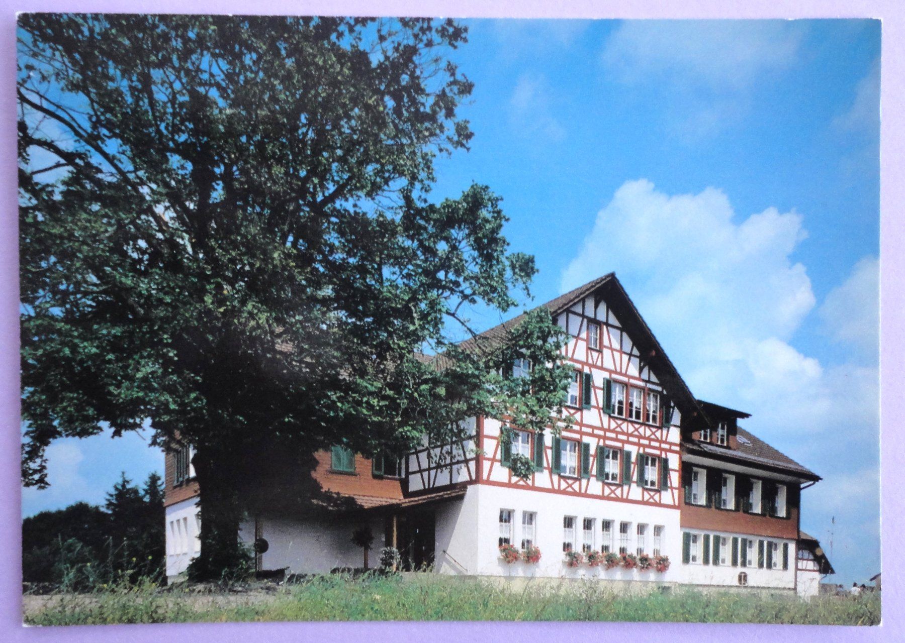Cartoline postali: Haus der Stille, Sternenberg – Usato da Fétigny venduto da Billy2miny