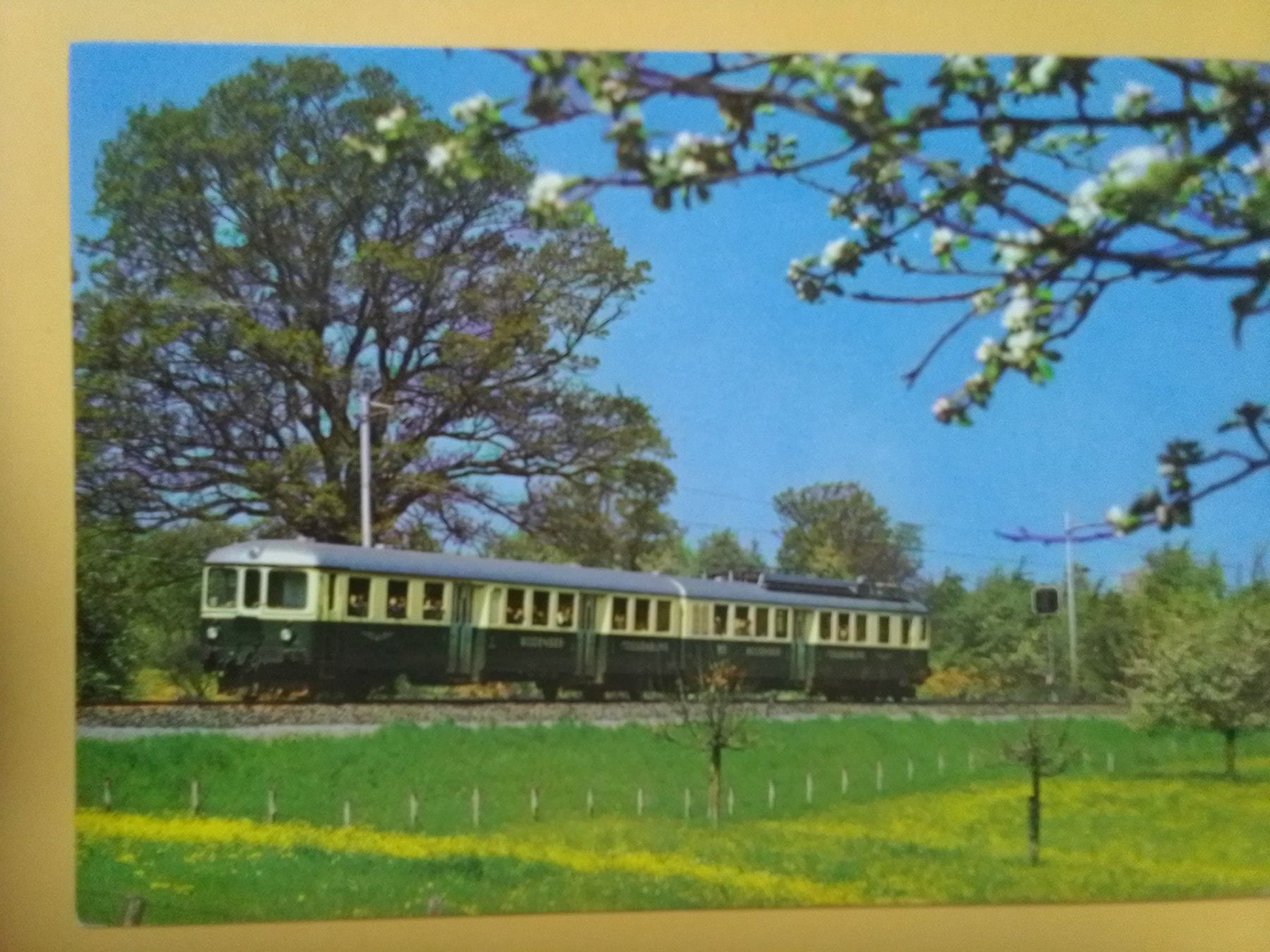Cartes postales: Bodensee Toggenburg Bahn Bluestfahrt Thurgau – D'occasion à Küttigen par Melisch1000