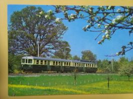 Bodensee Toggenburg Bahn Bluestfahrt Thurgau