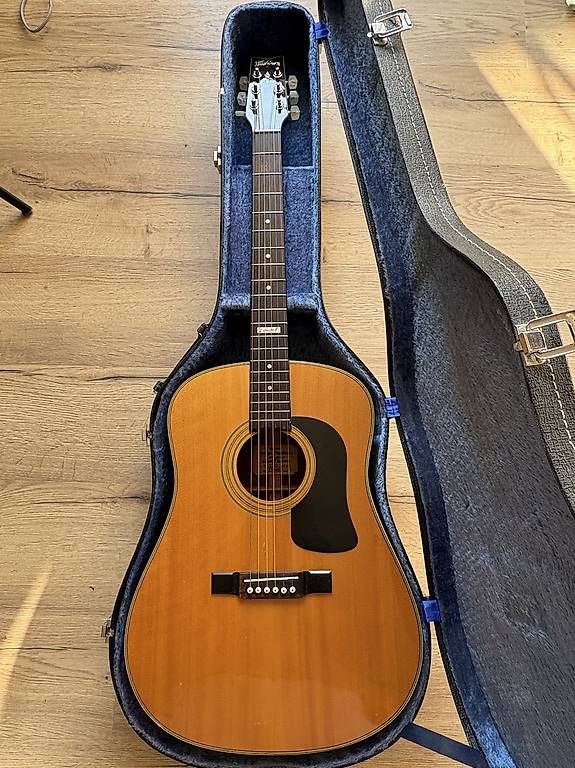 Washburn Strumenti musicali: Acoustic Guitare- Washburn édition limitée- – Usato da Châtel St Denis venduto da mackiezone01