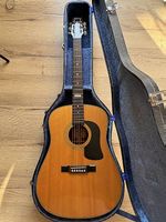 Acoustic Guitare- Washburn édition limitée-