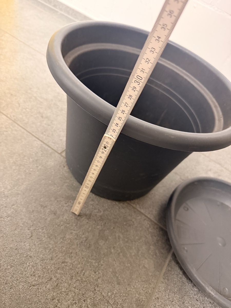 Vasi per fiori: grauer Blumentopf mit Untersetzer – Usato da Pfaffhausen venduto da Beli94 2