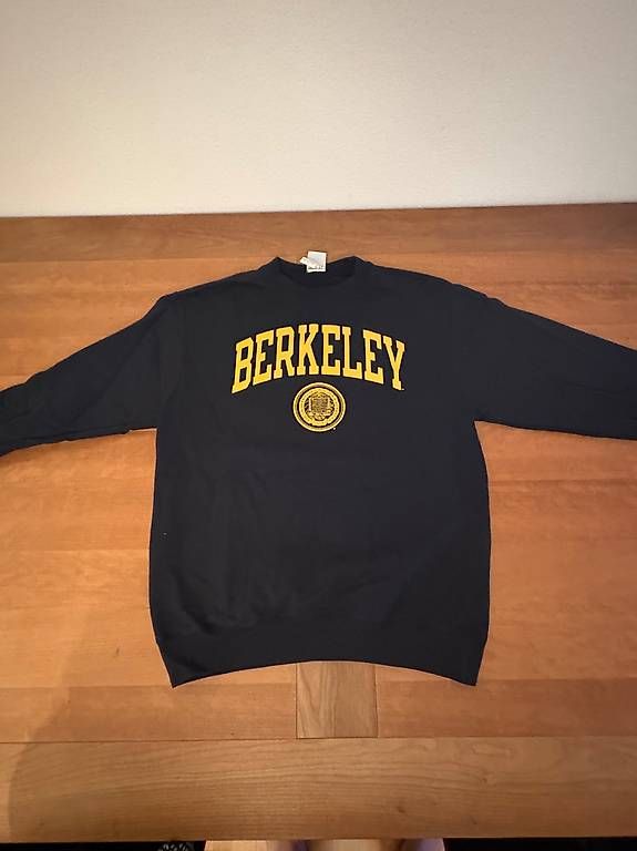 Pullover & Sweatshirts: Original UC Berkley Pullover (von Champion, US Grösse M) – Gebraucht aus Zürich von James_Kr