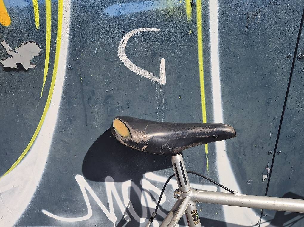 Biciclette: Cityflitzer MATA – Usato da Fischenthal venduto da Rjega 2