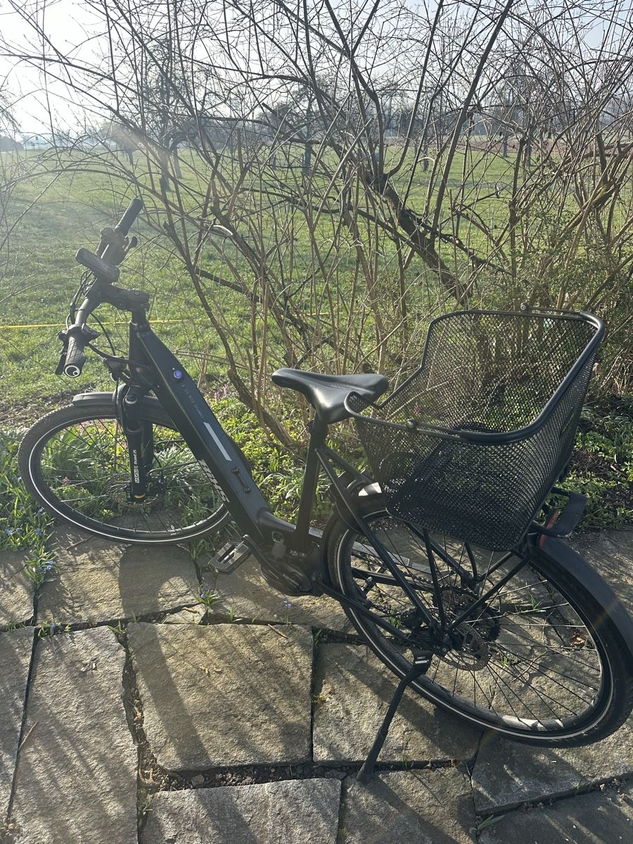 Bixs Velos: EBike Bixs – Gebraucht aus Uster von mos_8klm 6