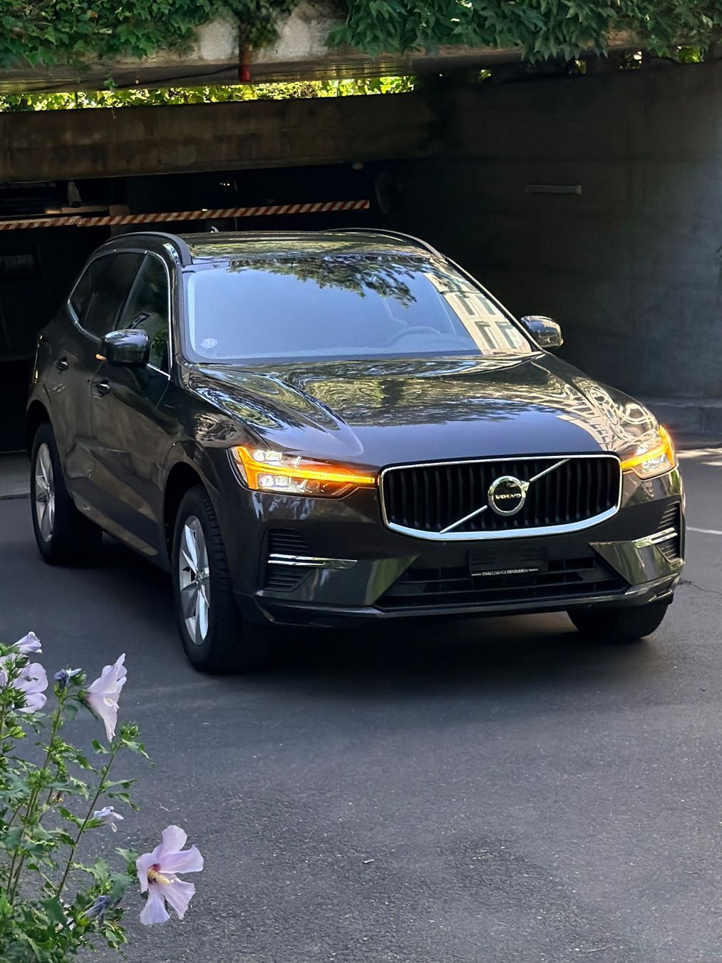 Volvo Automobili: VOLVO XC60 B5 Benzin Mild Hybrid Momentum Geartronic – Usato da Genève venduto da art_kj26 2
