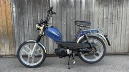 Pony GTX in top Zustand 
