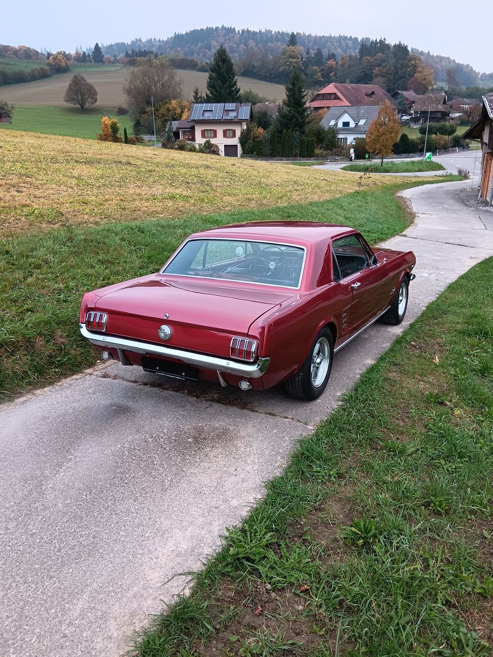 Ford (Usa) Autos: Ford Mustang 289 V8 1966 – Gebraucht aus kölliken von TerryCash 5