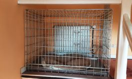 Stabiler Hunde Käfig Transportbox mit weicher Unterlage