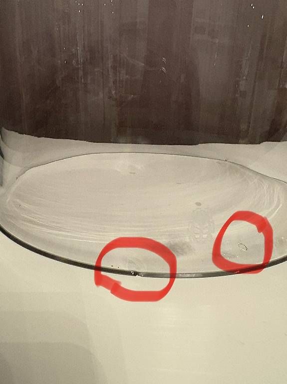 Bicchieri: 3x Bonboniere Glas von Zoeppritz – Usato da Bözberg venduto da jessmeen 4