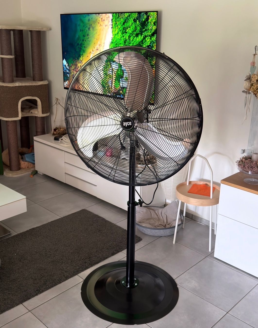 Ventilatori: AYCE Standventilator schwarz – 123 W – Nuovo (secondo la descrizione) da Wölflinswil venduto da sir_w9lr
