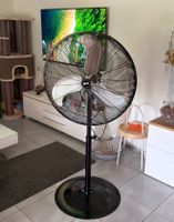 AYCE Standventilator schwarz – 123 W