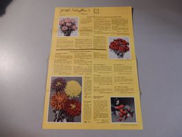 Originale Goth Schaffner AG Samen-Liste, Jul/Aug 1956 Top!