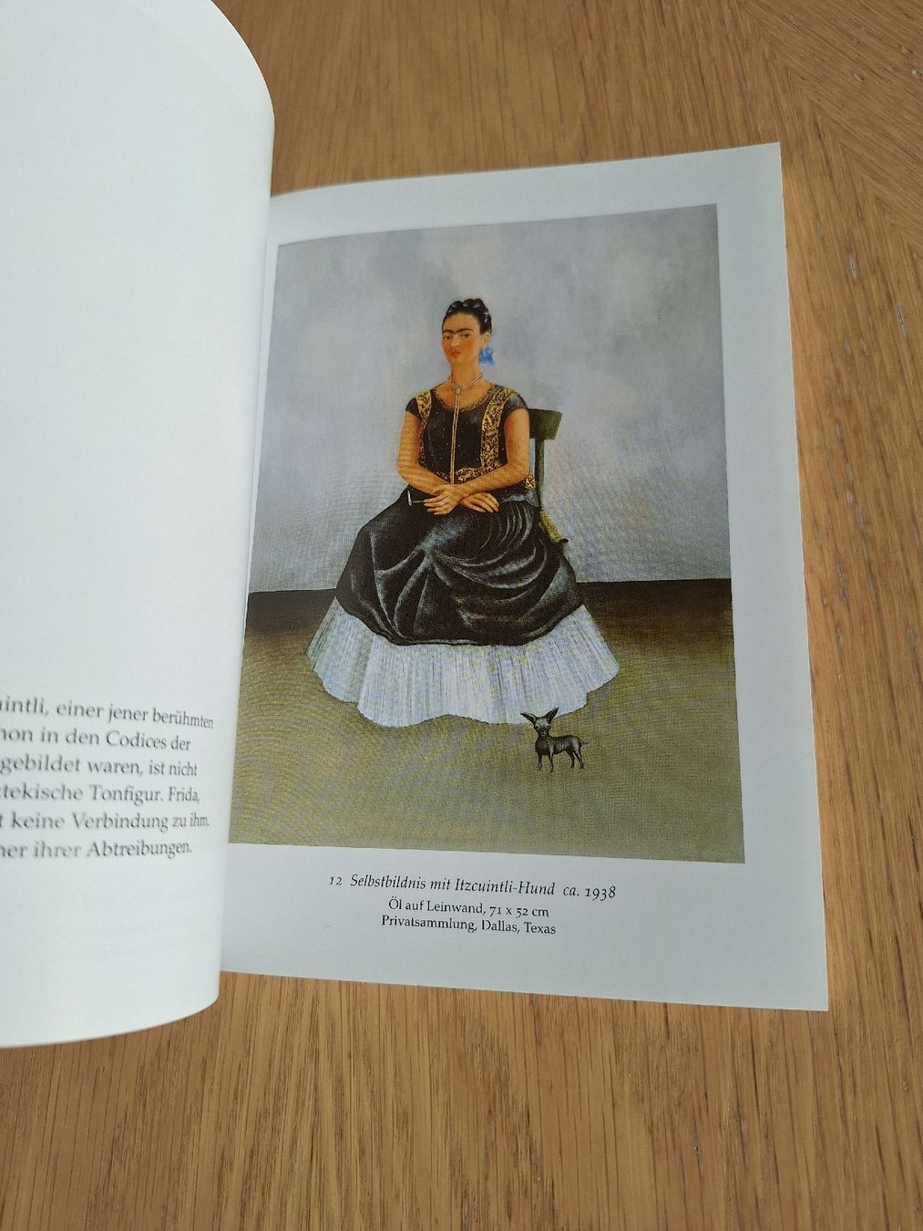Libri: Büchlein mit Kunst von Frida Kahlo – Usato da Wimmis venduto da Nicnic5 5