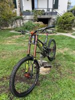 Santa Cruz V10