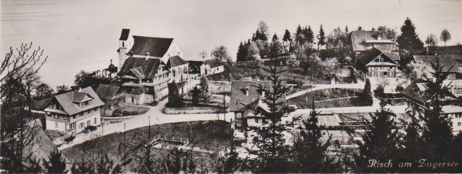 Cartoline postali: Risch  ZG   -   alte Ansichtskarte von  1950 – Usato da Vitznau venduto da Ropaku 1