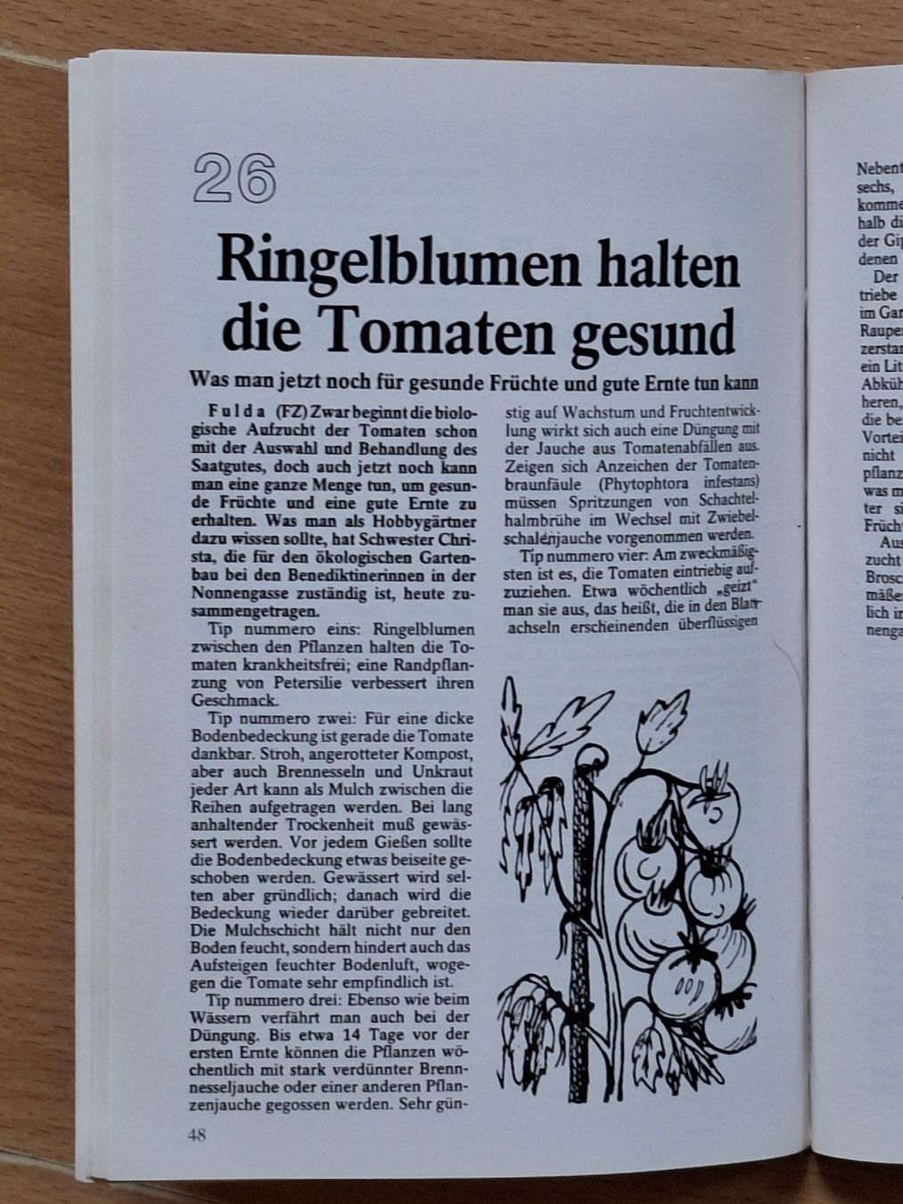 Libri: BIOTIPS aus dem Klostergarten – Usato da Eriswil venduto da corolla05 2