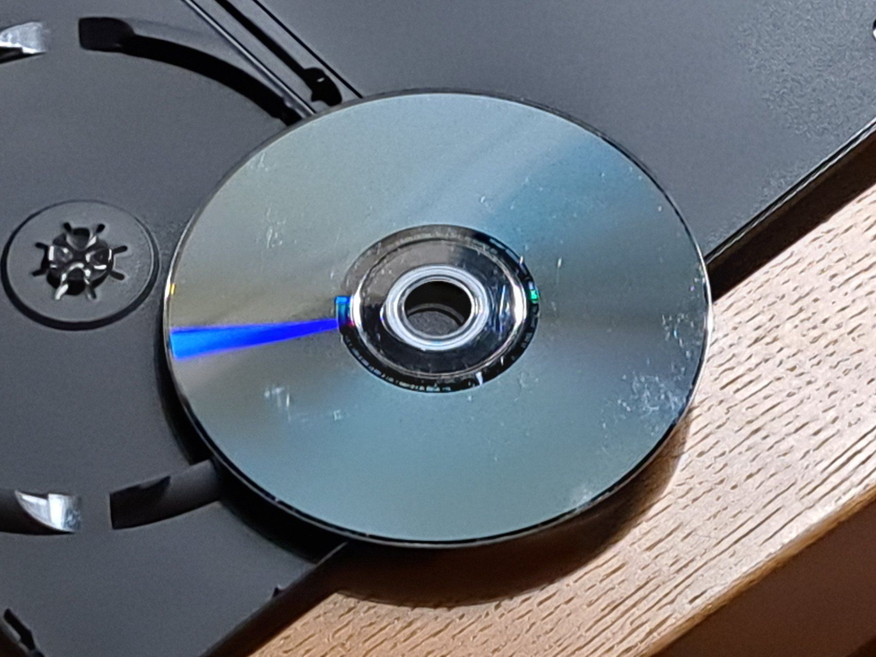 Alle DVDs: When a Man Falls in the Forest mit Sharon Stone, T. Hutton – Gebraucht aus Unterseen von Kanica 7