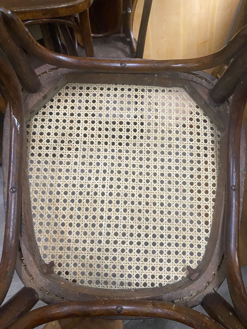 Thonet Sedie: Bistrostuhl (Mod. 144) – Usato da Basel venduto da MoebelSackmann 3