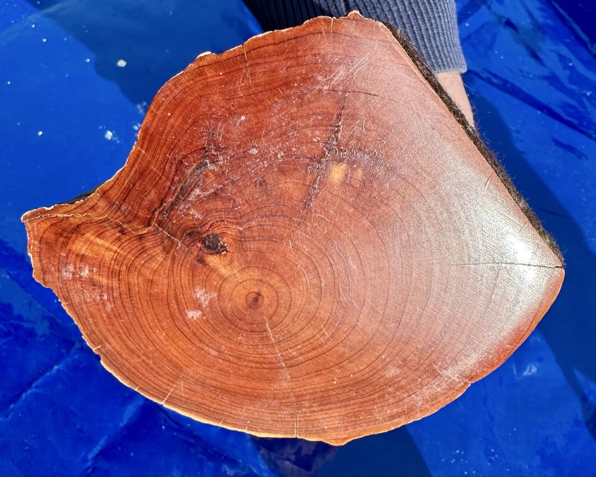 Articoli in legno: Rustikale Holzschatulle - Einzigartiges Unikat aus Holz – Usato da Zürich venduto da c_d_r 5