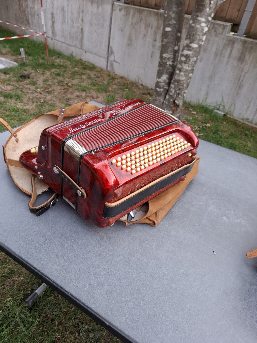 Instruments de musique: chromatique accordeon – D'occasion à Villeneuve par BibiVintage 2
